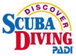 Logo Skin Diver